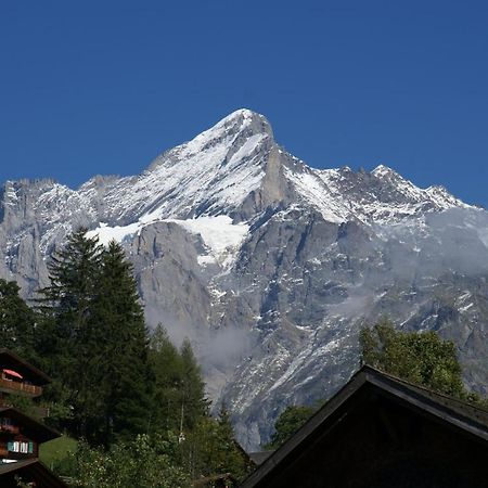 Apartment Baereggblick - Griwa Rent Ag Grindelwald Bagian luar foto