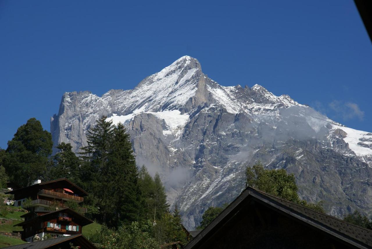 Apartment Baereggblick - Griwa Rent Ag Grindelwald Bagian luar foto